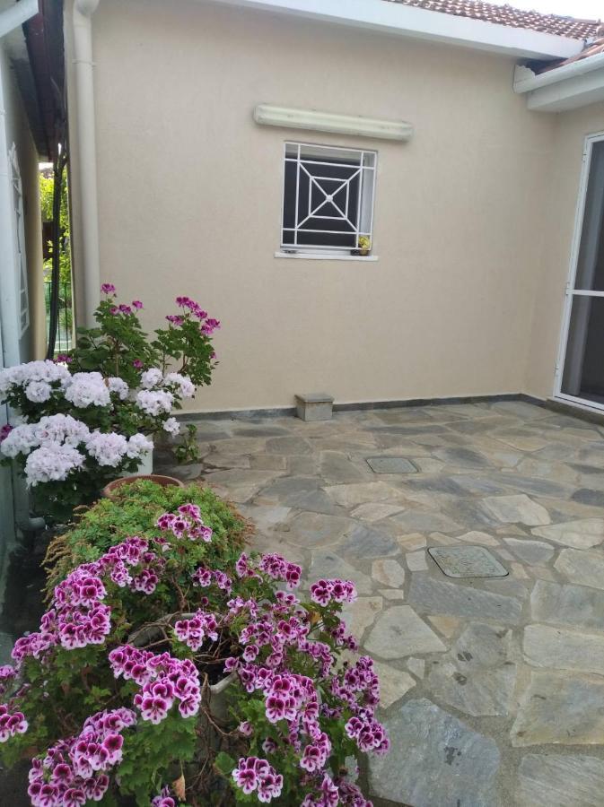 Asteria House Holiday home *
