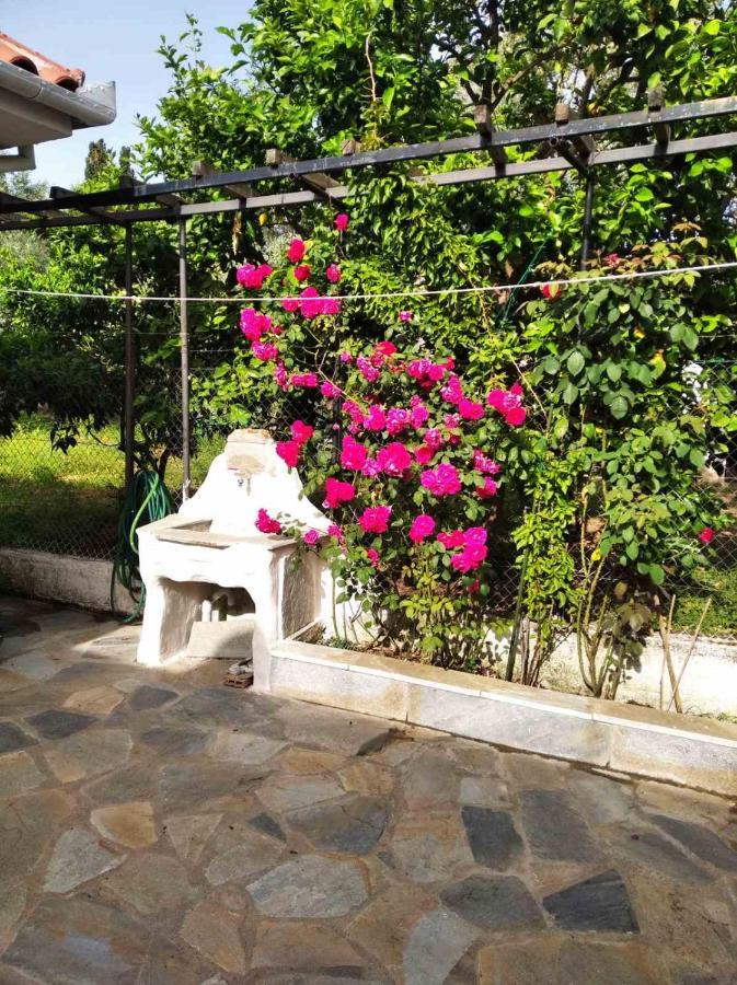 Asteria House Kala Nera