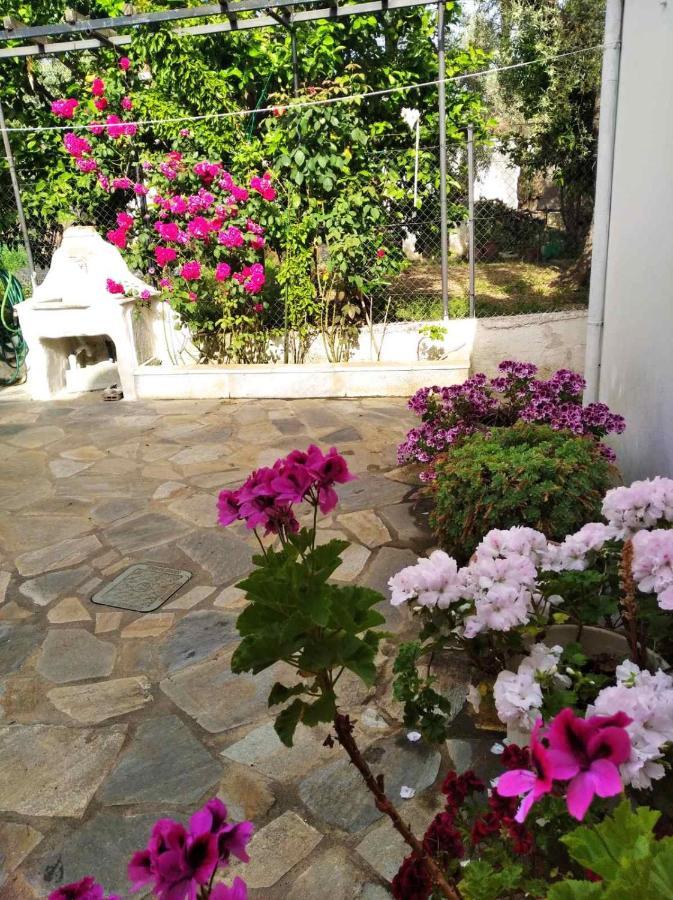 Asteria House Holiday home Kala Nera