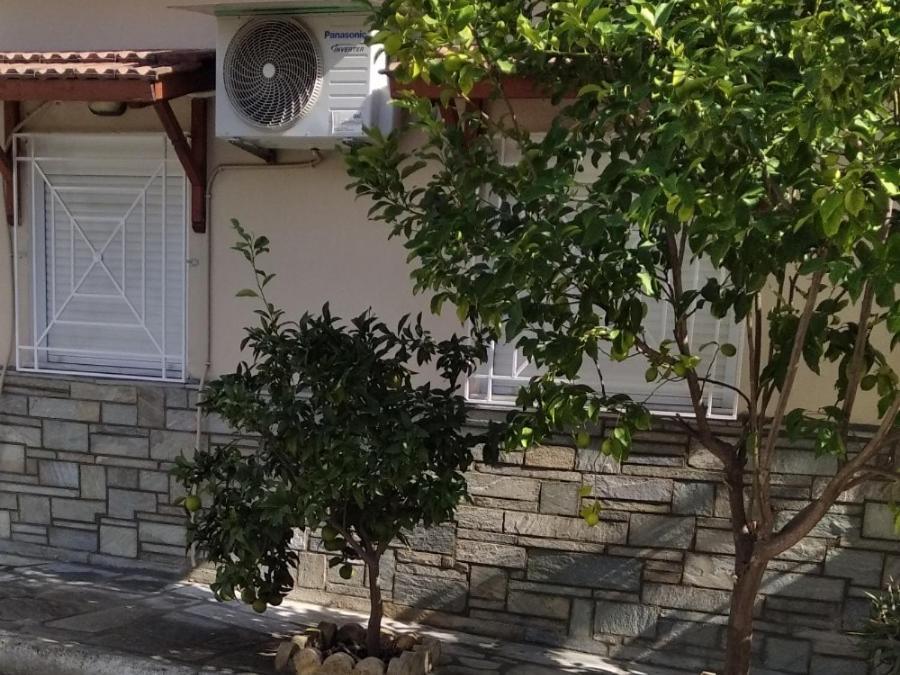 Asteria House Ferienhaus